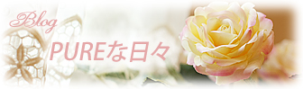 ブログ・SAKIの美しい日々